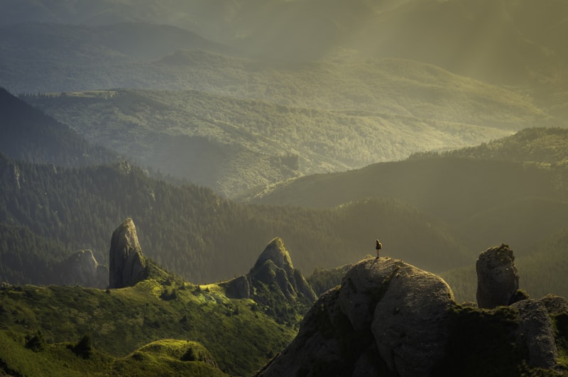 From Rehab to Real Life — The ClearPath Difference
